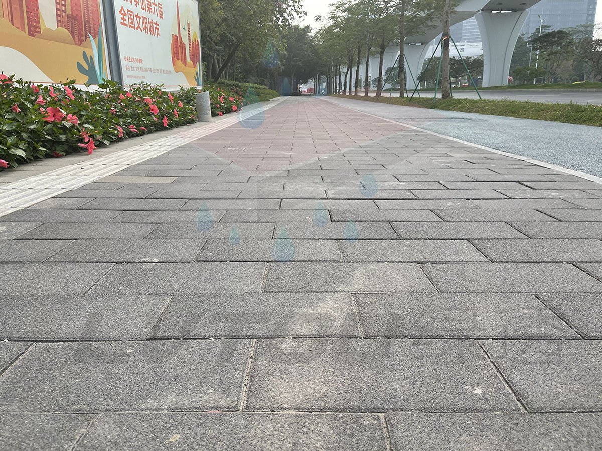深圳光明大道